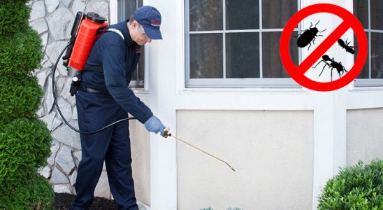 Mut Bit İlaçlama böcek ilaçlama ve haşere kontrolü — ilaclama-tr.com